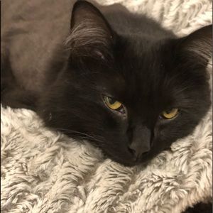 Meet your Posher, Ella